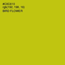 #C0C610 - Bird Flower Color Image